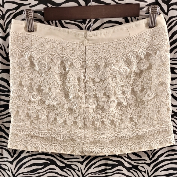 Sans Souci Lace Skirt - Picture 5 of 6